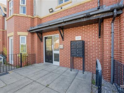 Picture 23